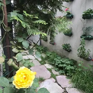 https://pop-bogomil.sofiahotelsbg.com