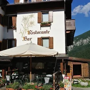 Hotel Stella Alpina